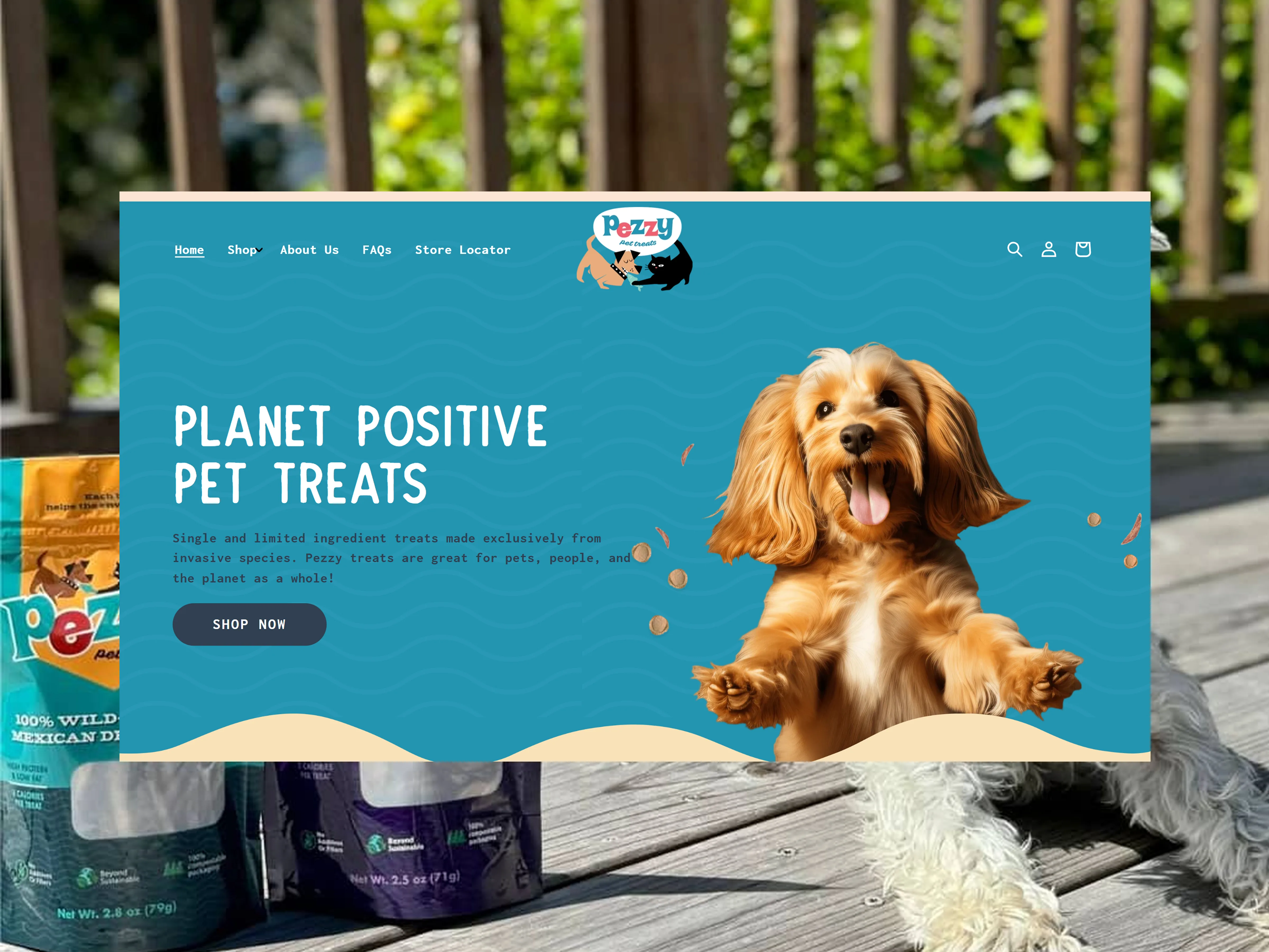 Pezzy Pets project
